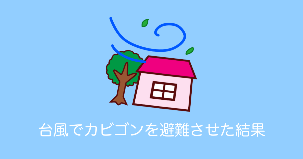 日本人が台風に備えてカビゴンを避難させたら思わず笑ってしまう結果に！【台湾人の反応】 | 海外の反応アンテナ