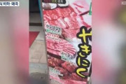 韓国人「ブラジル人夫婦が韓国の伝統食を“ウジ虫ジュース”“韓国のレストランは犬肉を売っている”と侮辱し韓国メディアでも報道される！」　韓国の反応