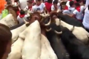 海外「スペインの牛追い祭りの雑踏事故。門が詰まっているところに人と牛が殺到」