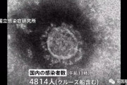 中国人「日本ではコロナ離婚という現象が起こってるらしい」　中国の反応