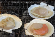 海外「本格的におなか空いた」たこ焼き！かに！大阪ストリートフードを外国人が堪能して絶賛！　海外の反応