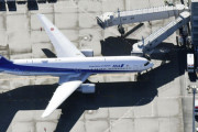 日本幹部「日米が先に武漢チャーター機離着陸。中国が重視する国」【韓国の反応】