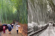 外国人「日本の同じ場所で夏＆冬の風景を撮ってみたよ！」