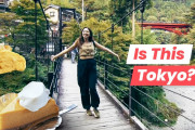 海外「トーキョーにこんなところが！？」奥多摩グルメガイドで東京の知られざる姿にびっくり