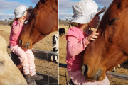 3歳の女の子の歌声を聞きながら気持ちよさそうにウトウトする馬の姿にほっこり♪