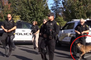 主役を警察犬に持っていかれた感。ドラマ仕立て警察官たちが踊るギット・アップ・チャレンジ