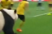 中国人「サッカー日本代表がユーロに出たら決勝まで進めると思う？」　中国人「ベスト8は確実」「W杯より難しい」