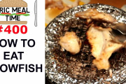 グルメユーチューバー「日本のフグ料理コースを食べたよ！」海外「勇気あるね！！」