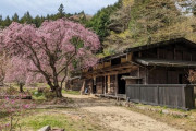 海外「今年の4月に日本旅行に行ってきた時の写真を紹介する！」2023年春の日本旅行に対する海外の反応