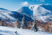 中国人「北海道が中国に買われすぎて日本がパニックに」