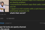 海外「裕福な国には肥満問題がある。米などの炭水化物は脂肪になる。ではなぜ日本人は痩せているのか？」