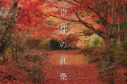【海外】「なんて神秘的なんだ！」「トップクラスの美しさだ」別格すぎる京都の紅葉に海外も超感動！