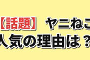 海外「『ヤニねこ』がここまで人気になったのはなぜ？」