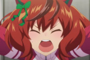 海外の反応【ウマ娘 プリティーダービーSeason3】2話感想：ナイスネイチャさんがナイスすぎる。まさかのチアネイチャさんまで