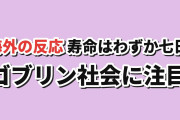 【短命】『転生ゴブリンだけど質問ある？』第1話、七日の寿命に海外驚き