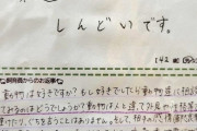 韓国人「日本の42歳男の子から寄せられた動物園への人生相談がこちらです‥（ﾌﾞﾙﾌﾞﾙ」→「返事もヤバイですね」　韓国の反応
