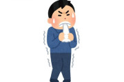 韓国人「日本が成功した理由って地下資源のおかげだよな？じゃないと納得できないんだが・・・」