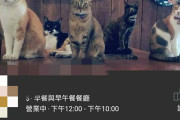 【質問】台北のレストランで猫や犬を連れての入店はＯＫですが12歳以下の子供の入店は禁止