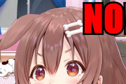 戌神ころね、何故かしわしわの手までコレクションしていたｗｗｗ【ホロライブ】