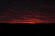 ポーランドの夕暮れの空に現れた不思議な光