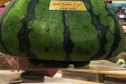 外国人「これ絶対日本にしかないだろってフルーツを見つけた…」