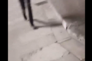 イタリア：地元の少女が不法移民集団にストーキングされる動画が話題に…[海外の反応]