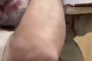 【閲覧注意】「ハロウィーン・サプライズ！」と題を打った男が箱を担いでいる映像に海外がびっくり仰天！・・・　海外の反応