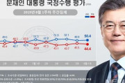 韓国人「反日効果！」文在寅大統領の支持率が50%台に回復！反日世論の拡散が効果　韓国の反応