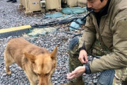 韓国人「ウクライナで作戦遂行中だというイ・グンが写真を撮った場所が工事現場である理由」