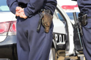 【怖すぎ】小型犬にビビった警官、撃ち殺そうと実弾2発発砲も飼い主である9歳児の頭を直撃してしまう