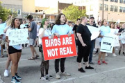 「鳥は国民を監視するドローン説」を立証する動画に海外騒然ｗｗｗｗｗ