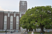 韓国人「日本の京都大学と東京大学の外国人留学生の割合を見てみよう」