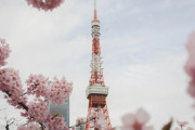 【海外】「日本はなんて美しいんだ」外国人が日本旅行中に撮った写真に海外も興味津々！