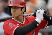 【海外の反応】2人の選手をフュージョンさせて大谷翔平を超える選手は作れる？【二刀流】