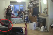 1年前に亡くなった黒猫が会いに来てくれたと信じる飼い主。ソファに座る黒猫の姿を発見