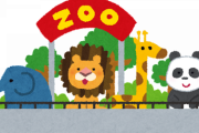 モラルない韓国人、金が勿体ないので動物園の動物の病気を放置、その肉を餌にするメンタリティ