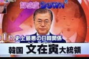 日本人「文在寅は"反日大魔王"で1番嫌いだ！」←韓国人の反応「最高の称賛だ！」「これでいい！嫌われる人を大統領に選ばないと！」