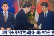 韓国人「日本は盗人猛々しい」安倍首相が会談で「韓国は約束を守れ」だけを繰り返し平行線に　韓国の反応