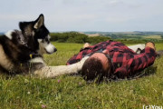 死んだふりをしてマラミュートの反応を見ようとした飼主さん、マラミュートのビンタを食らってしまい「アウチッ！」