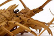 日本人の彫刻家が作ったロブスターがリアルすぎると話題に 海外の反応