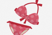 海外「ちょっと頭が混乱してるよ（笑）」「日本って、変な物を作るよね」HENTAIの国ならではの？