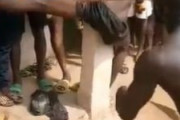 海外「【閲覧注意】ナイジェリアの村に覚せい剤を持ち込んで棒で叩かれる黒人達」
