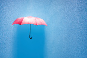 【海外】「雨と一緒に右向け右！？」