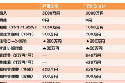 【驚愕】韓国人「どうして日本は戸建よりマンション人気なの？この1枚でわかるのに！」