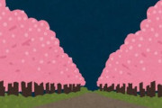 海外「なんというキラーショット」東京の雨の日に撮られた水鏡に映る夜桜が美しすぎて外国人も見とれる