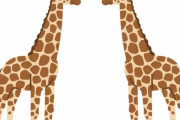 「キリンのまだら模様を見れば、出身地がわかるって知ってた？」エリア別の5パターン