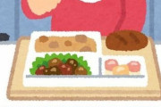日本の航空会社のエコノミークラスの食事にアメリカ人が感動するも…アメリカがひどいだけ？