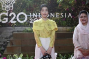 韓国人「G20首脳会議ガラ・ディナーに参加したキム・ゴンヒをご覧ください」
