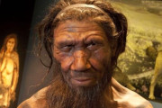 【海外】現代人も驚く！ネアンデルタール人の10の驚くべき生活術とは？