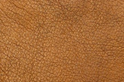「まだ着れそう…」2600年前の毛皮のコートに注目が集まる